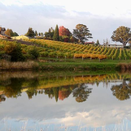 Pine Hill Lodge In Vineyard Mapua Kültér fotó
