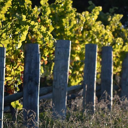 Pine Hill Lodge In Vineyard Mapua Kültér fotó