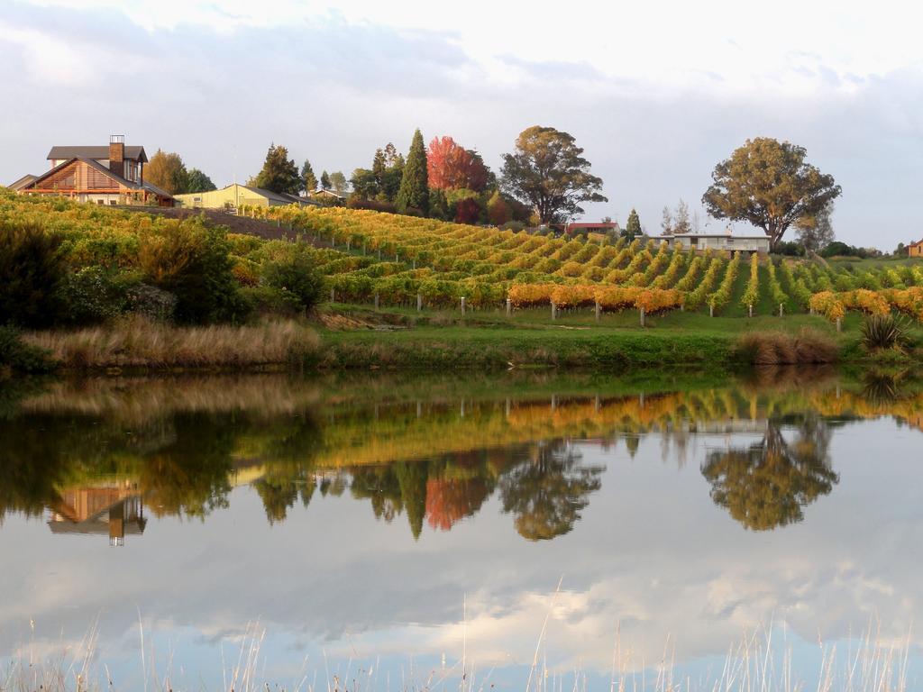 Pine Hill Lodge In Vineyard Mapua Kültér fotó