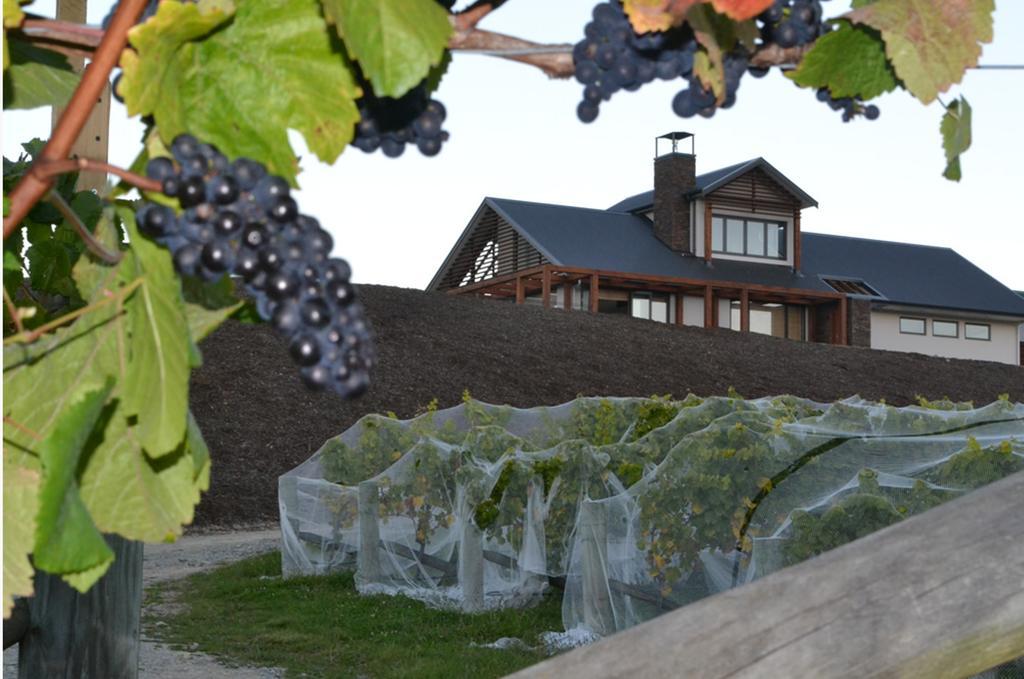 Pine Hill Lodge In Vineyard Mapua Kültér fotó