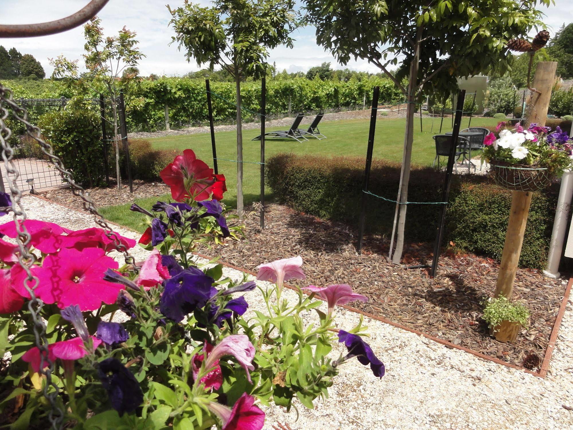 Pine Hill Lodge In Vineyard Mapua Kültér fotó